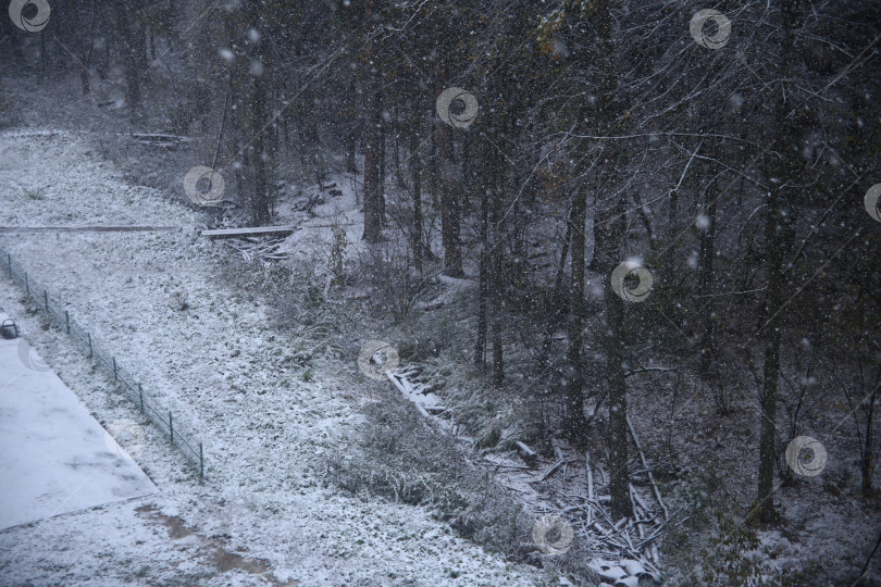 Скачать Пейзаж со снежной метелью фотосток Ozero