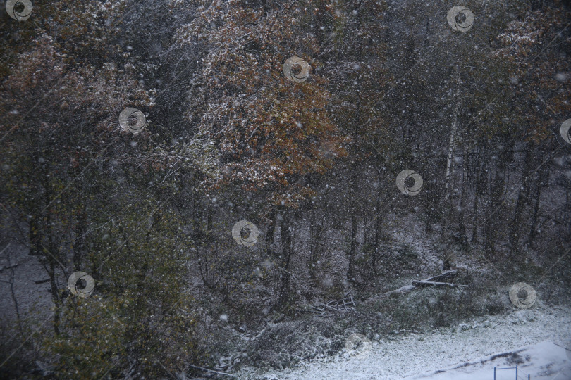 Скачать Пейзаж со снегопадом фотосток Ozero