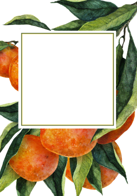 [object Object] undefined