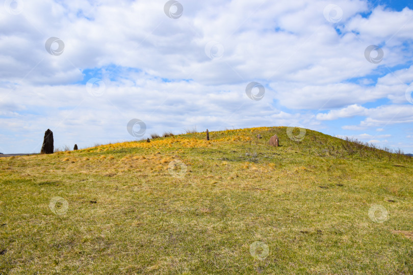 Скачать Летний пейзаж фотосток Ozero