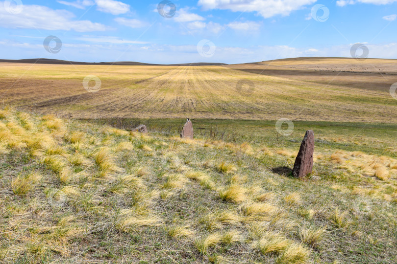 Скачать Летний пейзаж фотосток Ozero
