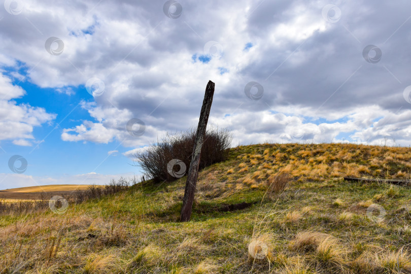 Скачать Летний пейзаж фотосток Ozero
