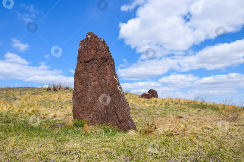 Скачать Летний пейзаж фотосток Ozero