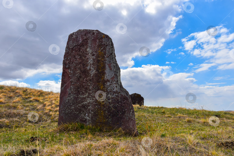Скачать Летний пейзаж фотосток Ozero