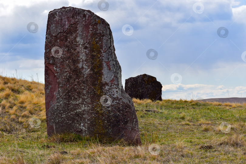 Скачать Летний пейзаж фотосток Ozero