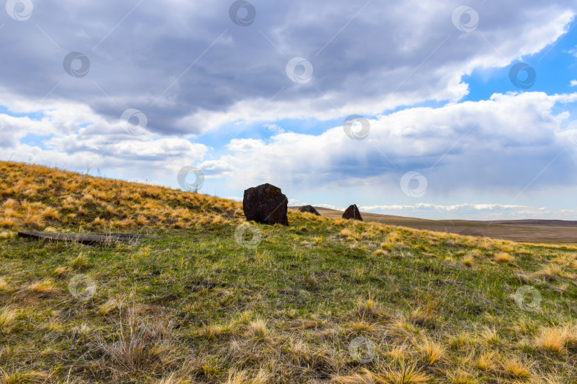 Скачать Летний пейзаж фотосток Ozero