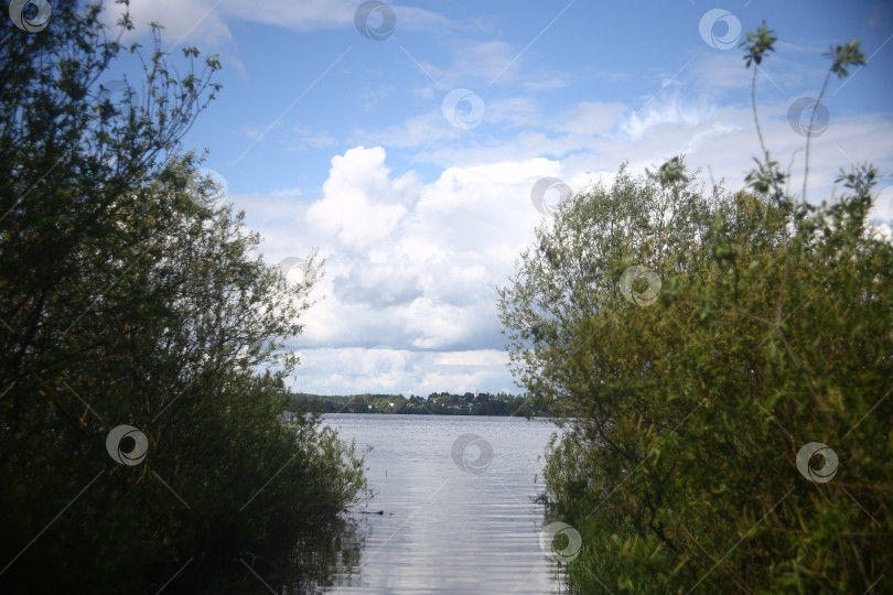 Скачать Вид на реку и деревья фотосток Ozero