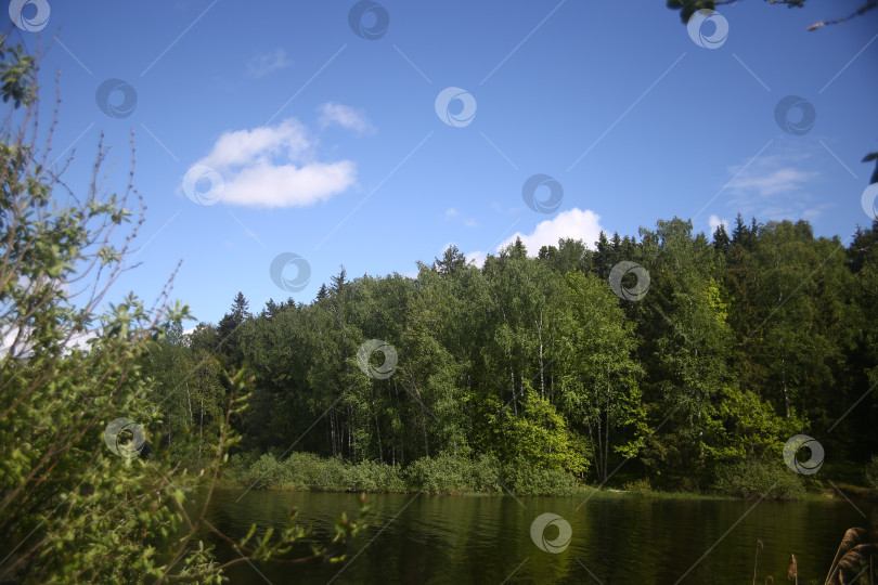 Скачать Природа и вид на реку фотосток Ozero