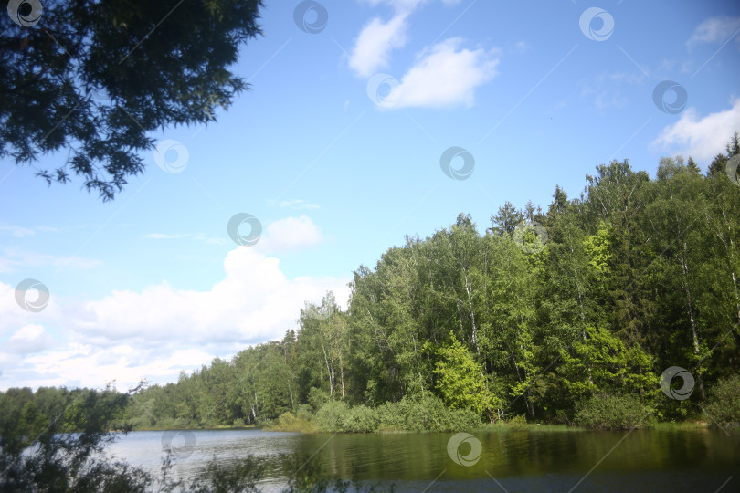 Скачать Природа и вид на реку, деревья и небо фотосток Ozero