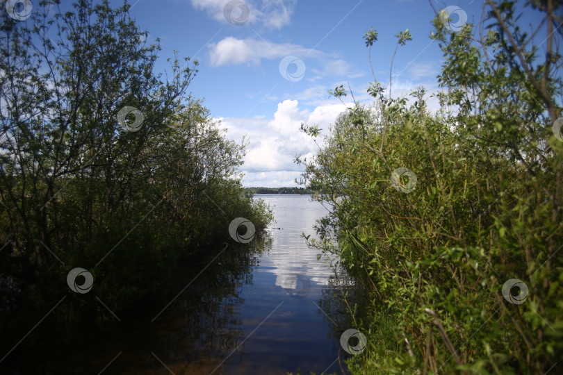 Скачать Природа и вид на водоем и голубое небо фотосток Ozero