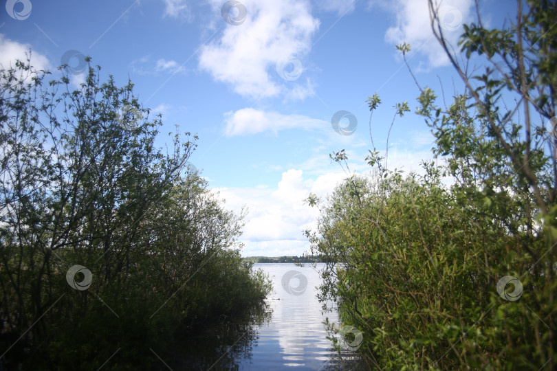 Скачать Природа и вид на реку, деревья и голубое небо фотосток Ozero