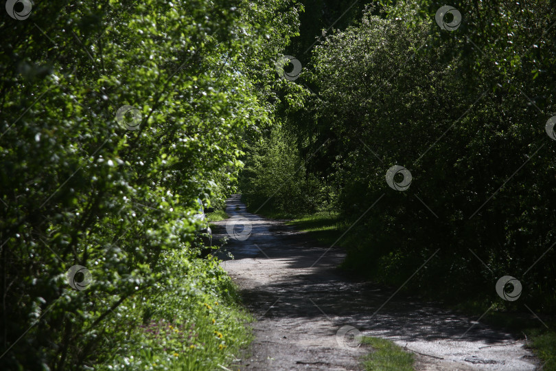 Скачать Пейзаж и вид на реку, голубое небо и зеленые деревья фотосток Ozero