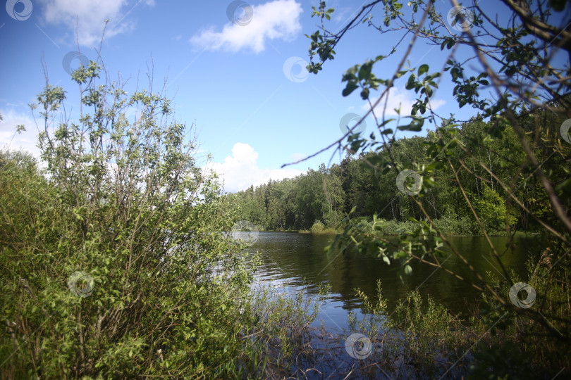 Скачать Пейзаж и вид на реку, голубое небо и зеленые деревья фотосток Ozero