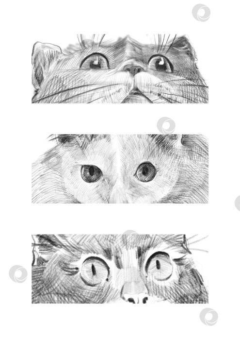 Скачать Три черно-белых карандашных наброска кошачьих мордочек, выполненных горизонтальными полосками. Выделяются на белом фоне. Подходит для принтов, открыток, детских материалов и творческих композиций. фотосток Ozero