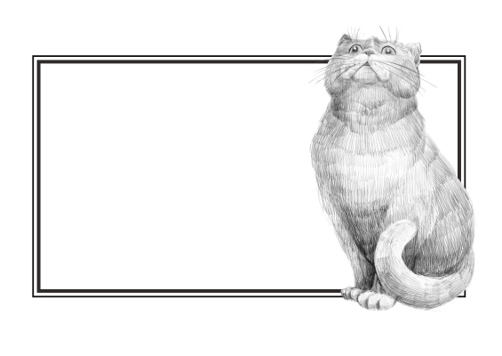 [object Object] undefined