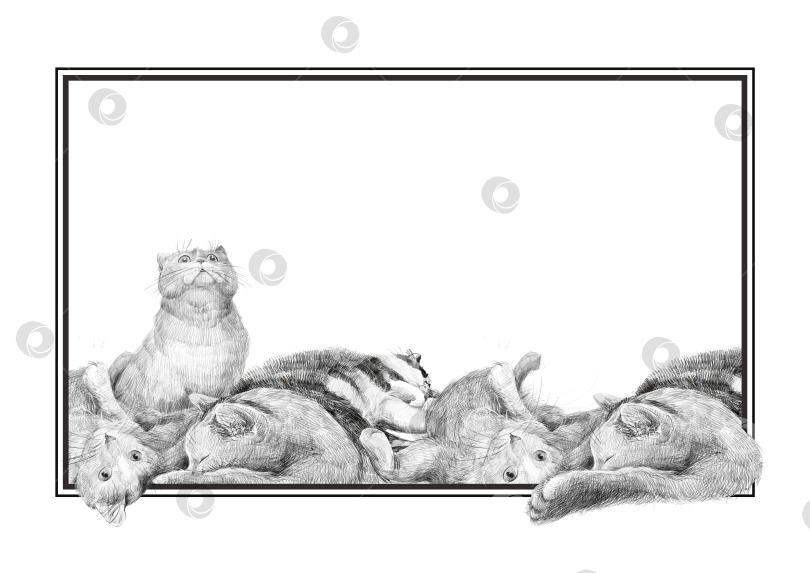 Скачать Нарисованный от руки карандашный набросок нескольких кошек в расслабленных позах в нижней части черной рамки с двумя линиями. Некоторые кошки лежат, другие сидят прямо. Вверху большое пустое место для текста или рисунка. фотосток Ozero