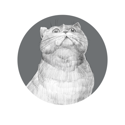[object Object] undefined