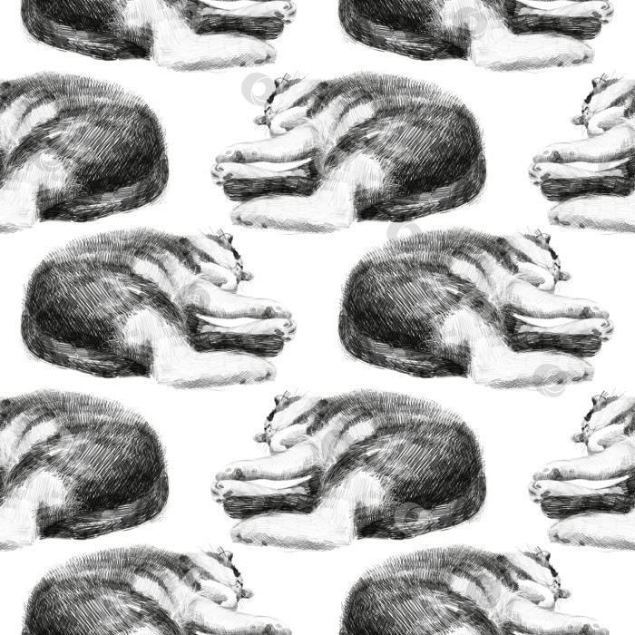 Скачать Бесшовный карандашный рисунок с нарисованными от руки спящими кошками, свернувшимися калачиком, на белом фоне. Реалистичный черно-белый эскиз. Идеально подходит для текстильного дизайна, оберточной бумаги, обоев и поделок. фотосток Ozero