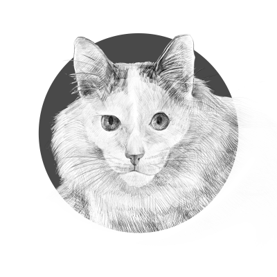 [object Object] undefined