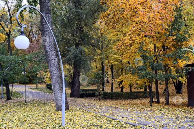 Скачать Осветительный фонарь на пешеходной дорожке, покрытой опавшей листвой. Краски осеннего лиственного леса. фотосток Ozero