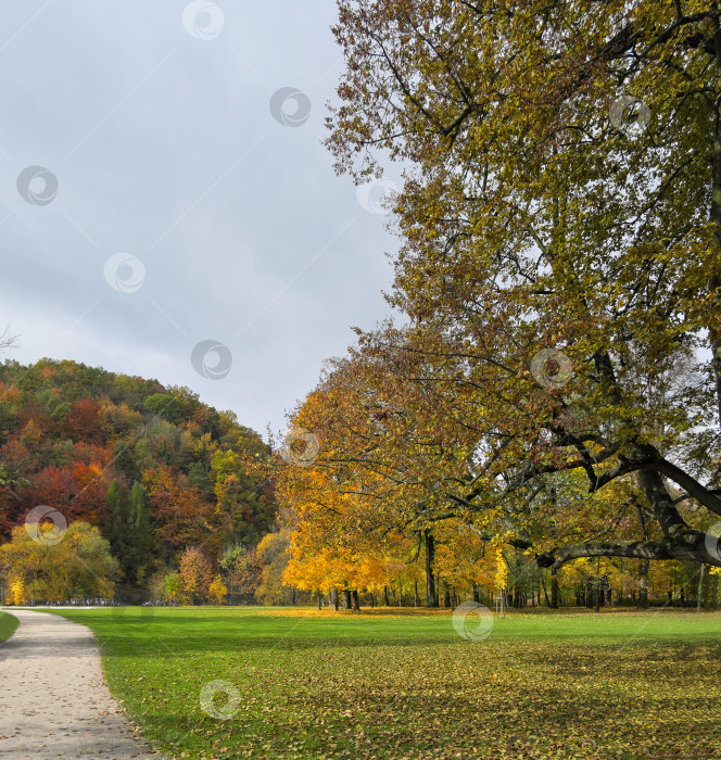 Скачать Безмятежный осенний пейзаж парка и холмов с золотистой листвой фотосток Ozero