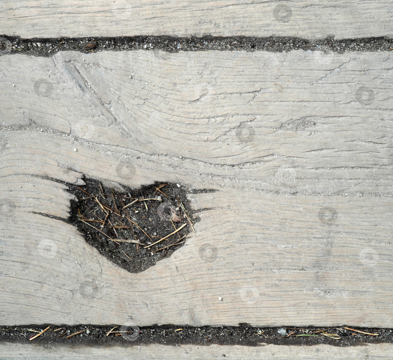 Скачать Рисунок в форме сердца на деревянном настиле в матуре. Место для текста, естественный фон фотосток Ozero