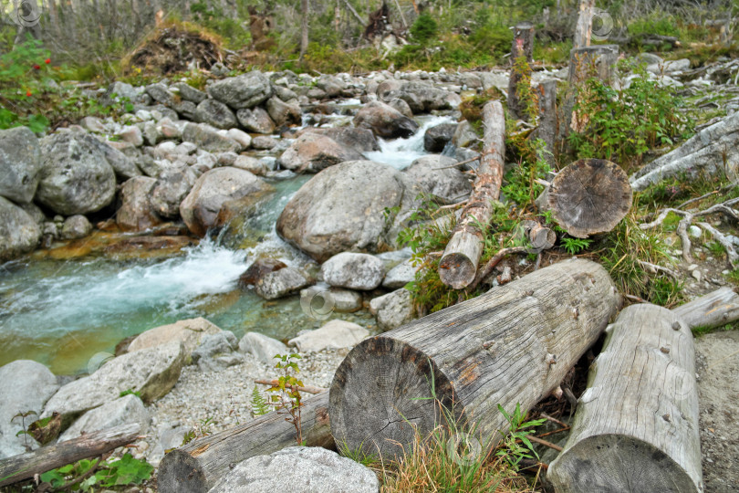 Скачать Дикая горная река, текущая по каменистому лесному руслу. Пейзаж природы фотосток Ozero