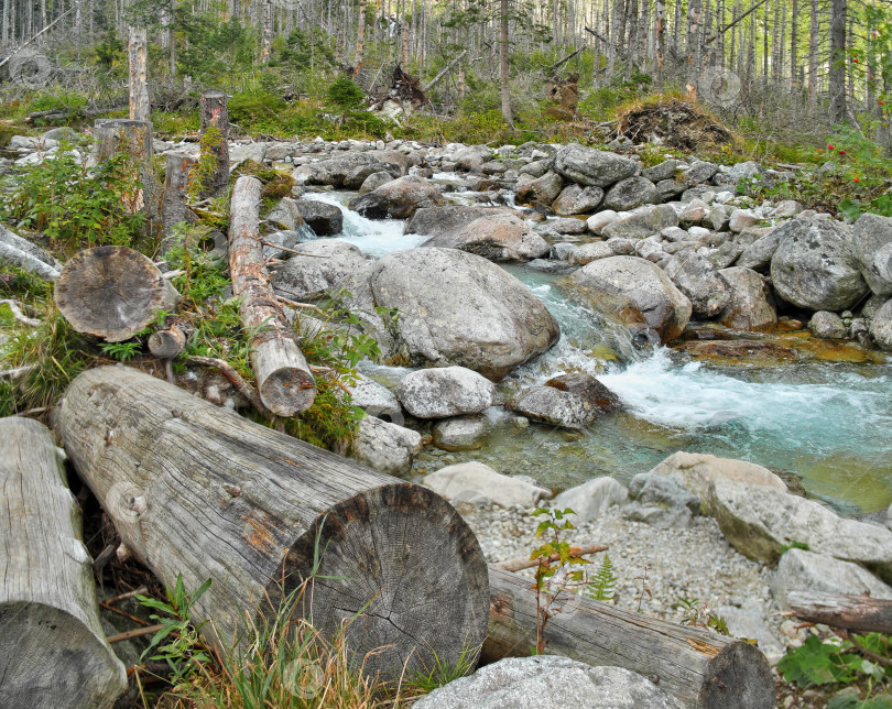 Скачать Дикая горная река, текущая по каменистому лесному руслу. Пейзаж природы фотосток Ozero