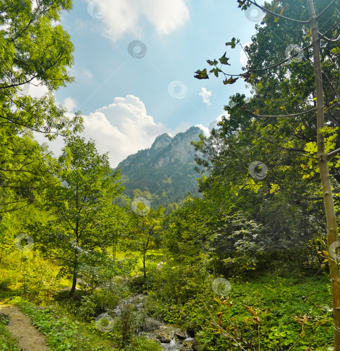 Скачать Величественный горный лесной пейзаж с залитыми солнцем скалами и ручьем. Эпическая сцена дикой природы. Чрезвычайно высокое разрешение фотосток Ozero