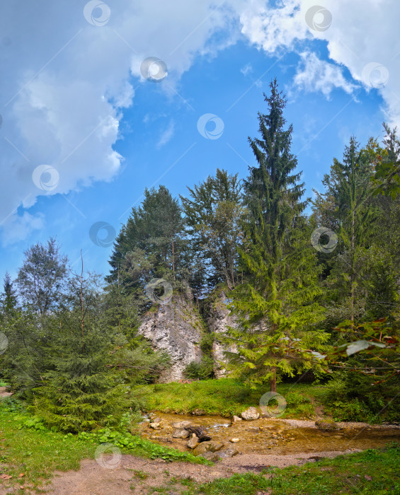 Скачать Величественный горный лесной пейзаж с залитыми солнцем скалами и ручьем. Эпическая сцена дикой природы. Чрезвычайно высокое разрешение фотосток Ozero