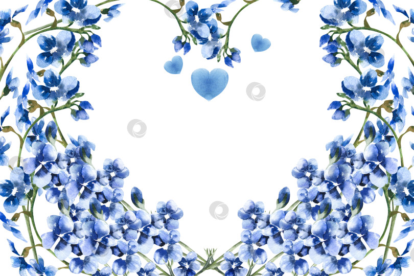 Скачать Винтажный баннер в цветочной рамке в форме сердца с романтическими голубыми полевыми цветами и акварельной иллюстрацией в виде сердечек. Винтажный клипарт на день Святого Валентина с лепестками цветов небесного цвета для оформления плакатов, открыток, упаковок фотосток Ozero