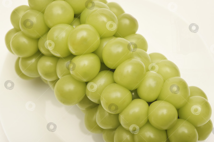 Скачать Крупные блестящие ягоды муската. Зеленый виноград на белом фоне. Гроздь винограда на тарелке. фотосток Ozero