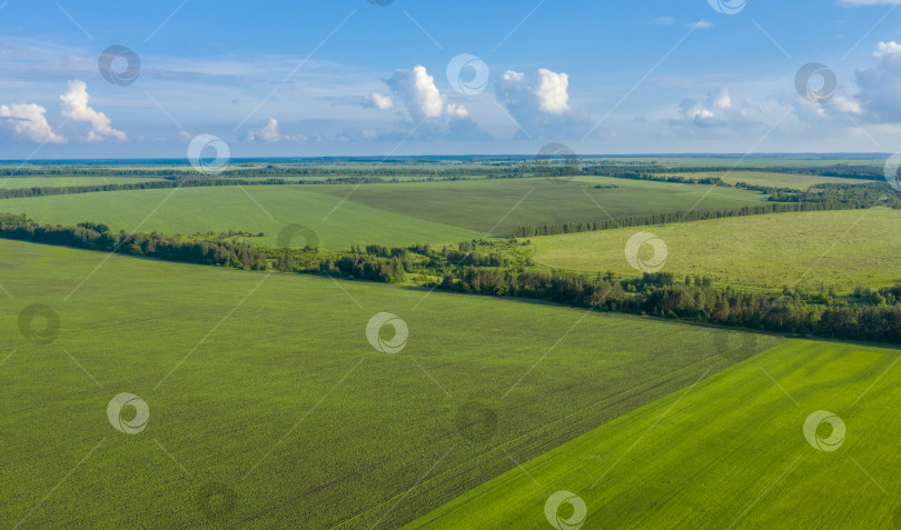 Скачать Сельскохозяйственные поля с высоты птичьего полета фотосток Ozero