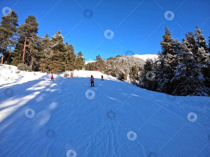 Скачать Горнолыжный курорт Архыз. Трасса синего уровня сложности. фотосток Ozero