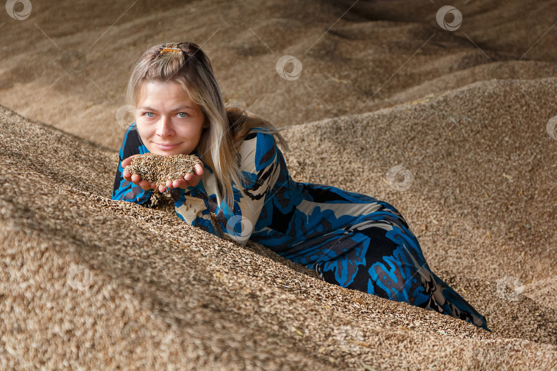 Скачать урожай пшеницы фотосток Ozero