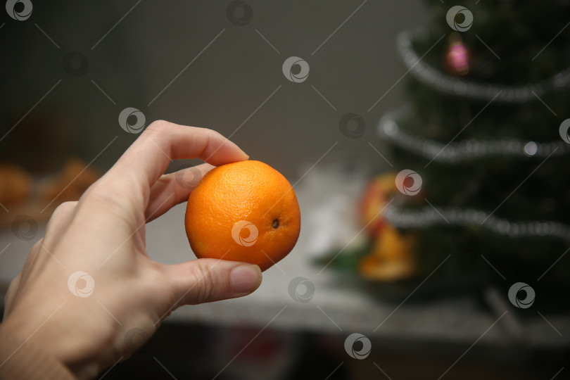 Скачать Мандарин в руке фотосток Ozero