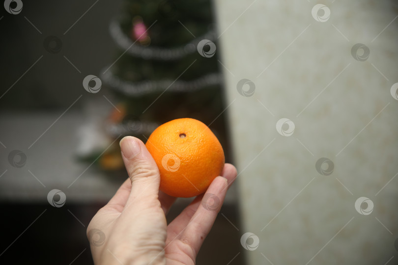 Скачать Сочный вкусный мандарин фотосток Ozero