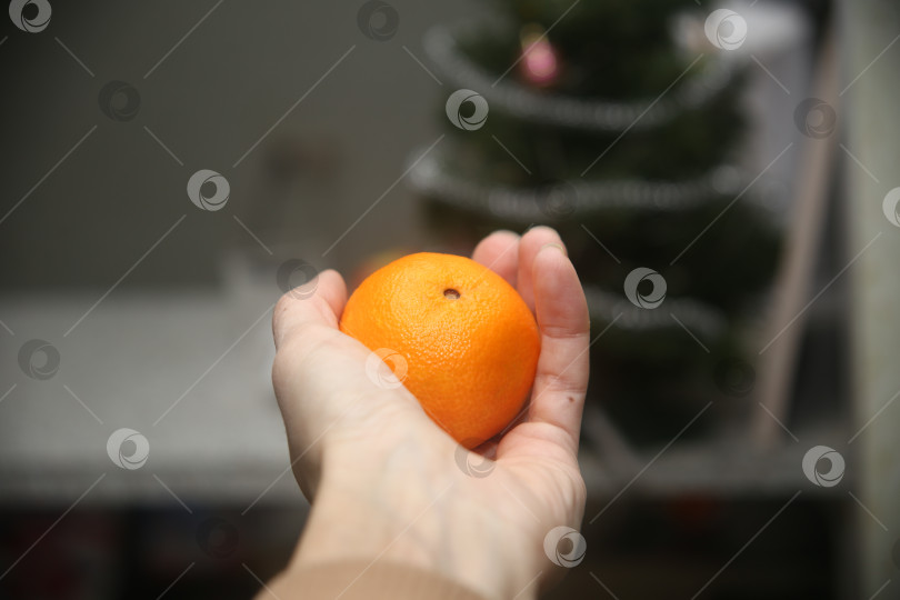 Скачать Сочный мандарин в руке фотосток Ozero