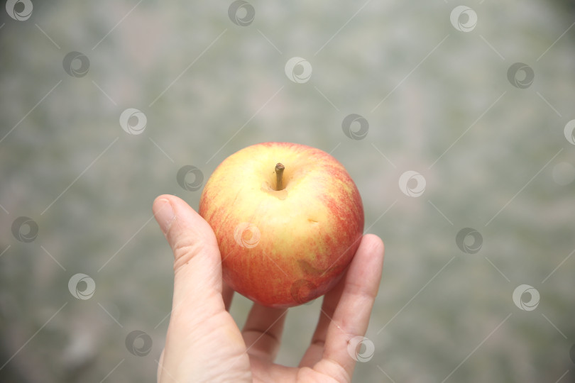 Скачать Женщина держит яблоко фотосток Ozero