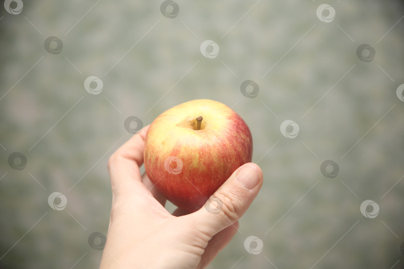 Скачать Женщина держит красно-жёлтое яблоко фотосток Ozero