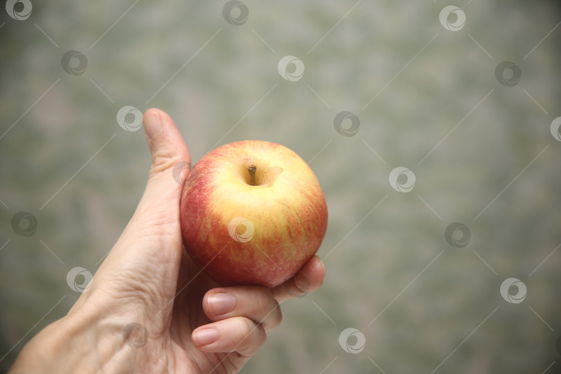 Скачать Женщина держит красно-жёлтое яблоко фотосток Ozero