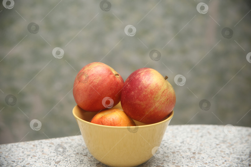 Скачать Фрукты яблоки в тарелке фотосток Ozero