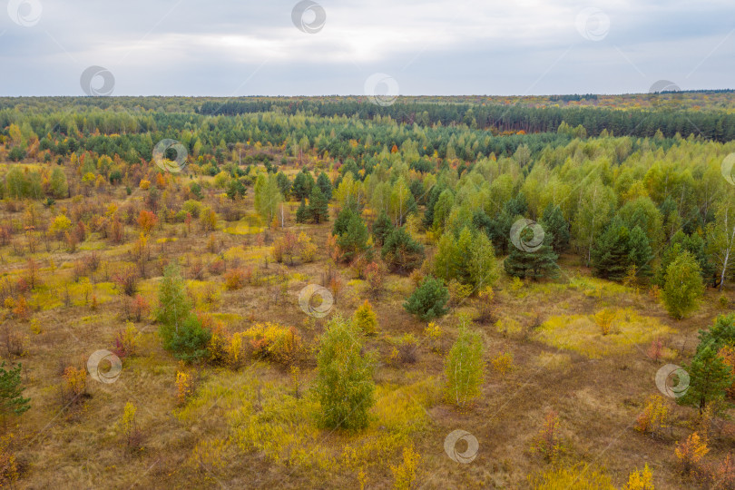 Скачать Аэрофотосъемка с квадрокоптера осеннего красочного леса, разноцветных ярких шапок деревьев с высоты птичьего полета фотосток Ozero