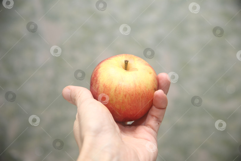 Скачать Женщина держит яблоко фотосток Ozero