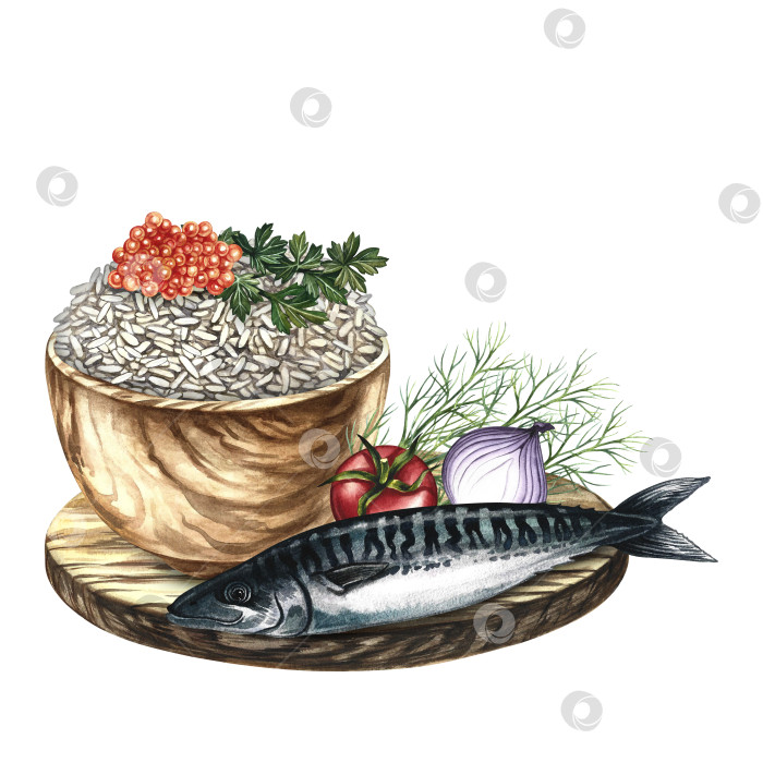 Скачать Скумбрия с рисовым гарниром, зеленью и овощами. Ручная акварельная иллюстрация. Элемент дизайна меню, рецептов и кулинарных книг. Для баннеров, флаеров, упаковки, этикеток и многого другого. фотосток Ozero