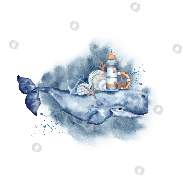 Скачать Морская акварельная композиция с кашалотом, маяком и морскими ракушками. фотосток Ozero
