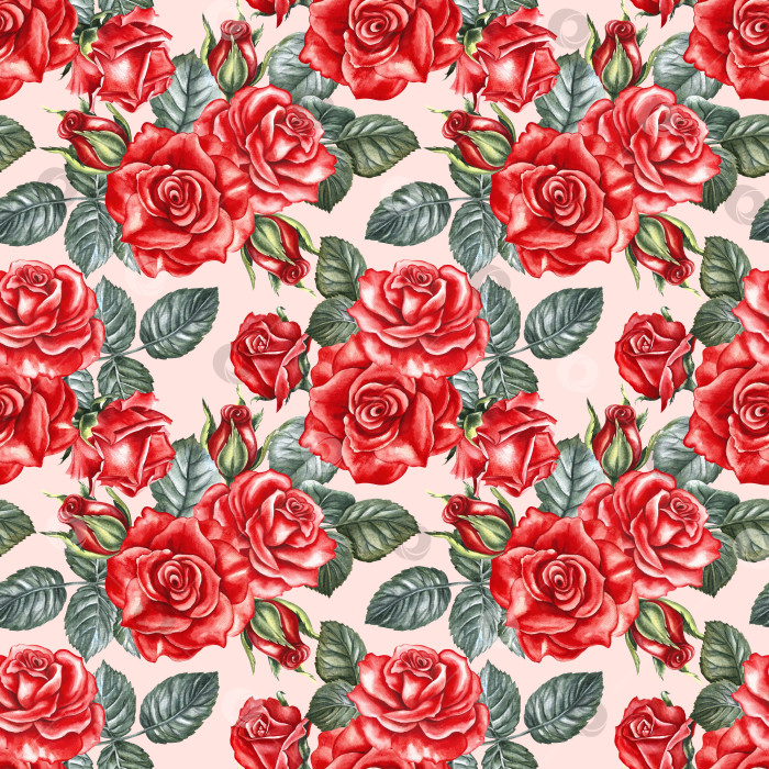 Скачать Бесшовный узор с красными розами. Ручная акварельная иллюстрация. Красивые красные розы на розовом фоне. Идеально подходит для текстиля, оберточной бумаги, обоев, веб-дизайна, упаковки и многого другого. фотосток Ozero