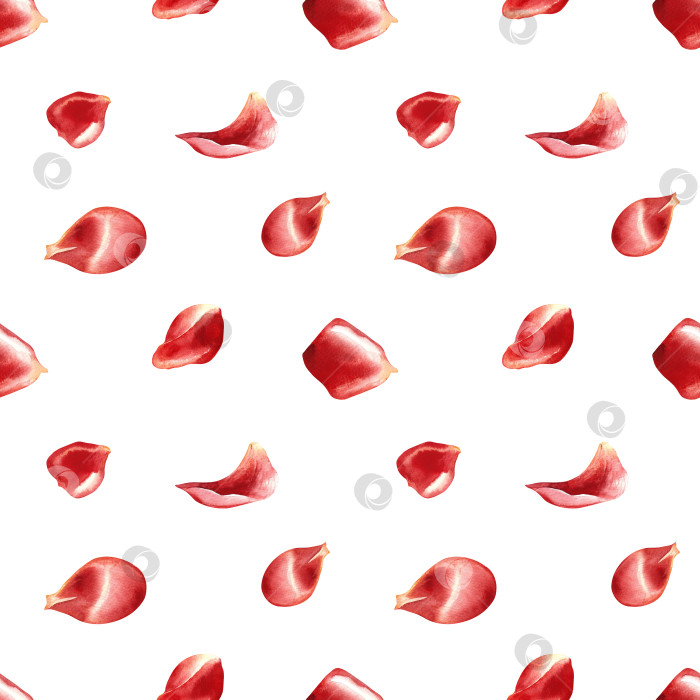 Скачать Бесшовный узор из лепестков красных роз. Ручная акварельная иллюстрация. Идеально подходит для свадьбы и Дня святого Валентина. Также подходит для текстиля, оберточной бумаги, обоев, упаковки, скатертей и многого другого. фотосток Ozero