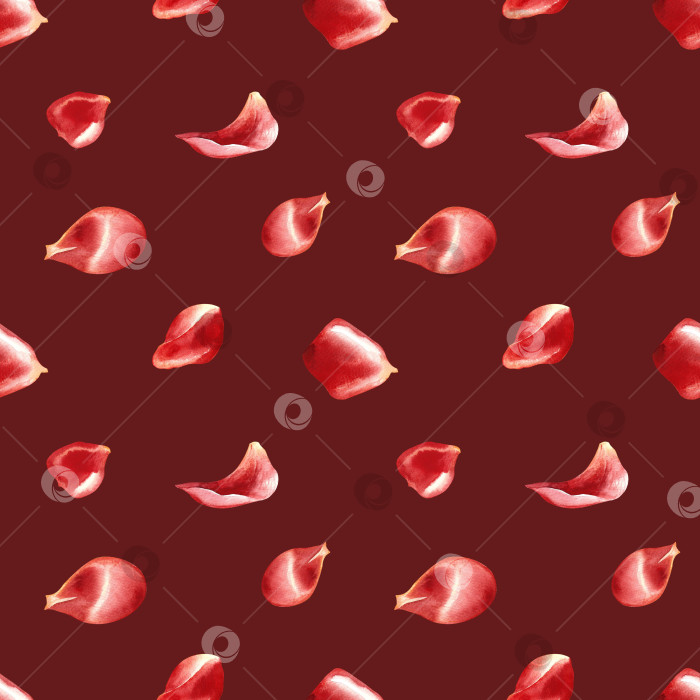 Скачать Бесшовный узор из лепестков красных роз. Ручная акварельная иллюстрация. На темно-красном фоне. Идеально подходит для текстиля, оберточной бумаги, обоев и упаковки, скатертей, штор, декора и многого другого фотосток Ozero
