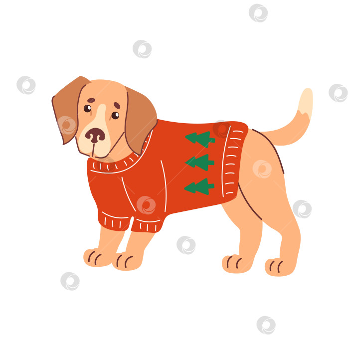 Скачать бигль в уродливом рождественском свитере. идеально подходит для праздничной векторной иллюстрации. с виляющим хвостом, дружелюбным выражением лица, четкими векторными линиями, яркими однотонными цветами, акцентами на праздничную тематику фотосток Ozero